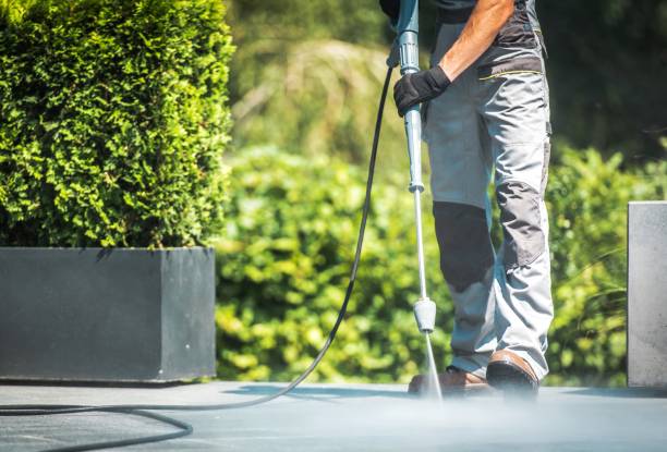 Best House Exterior Washing  in Wollochet, WA
