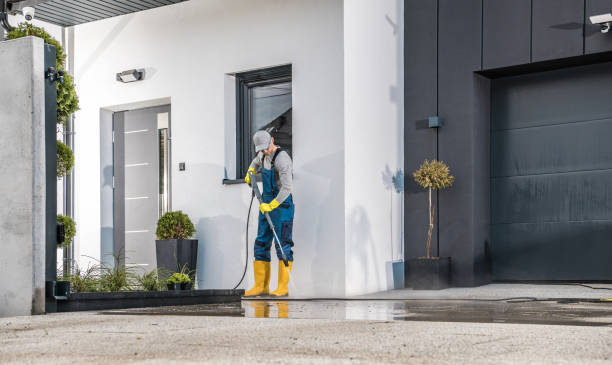 Best Sidewalk and Walkway Cleaning  in Wollochet, WA